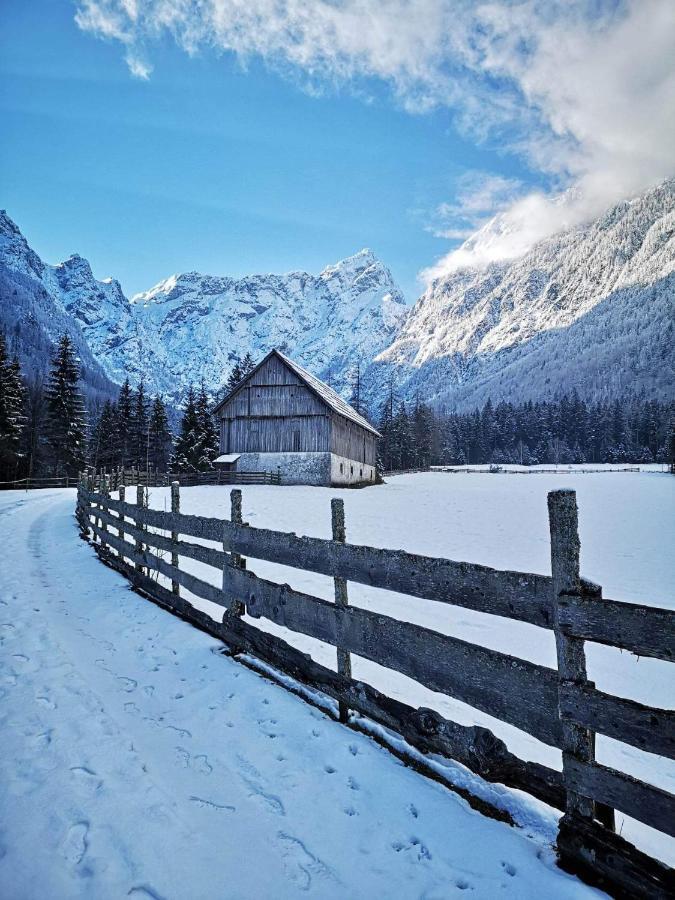 Apartamento Mala Hisa Solčava Exterior foto