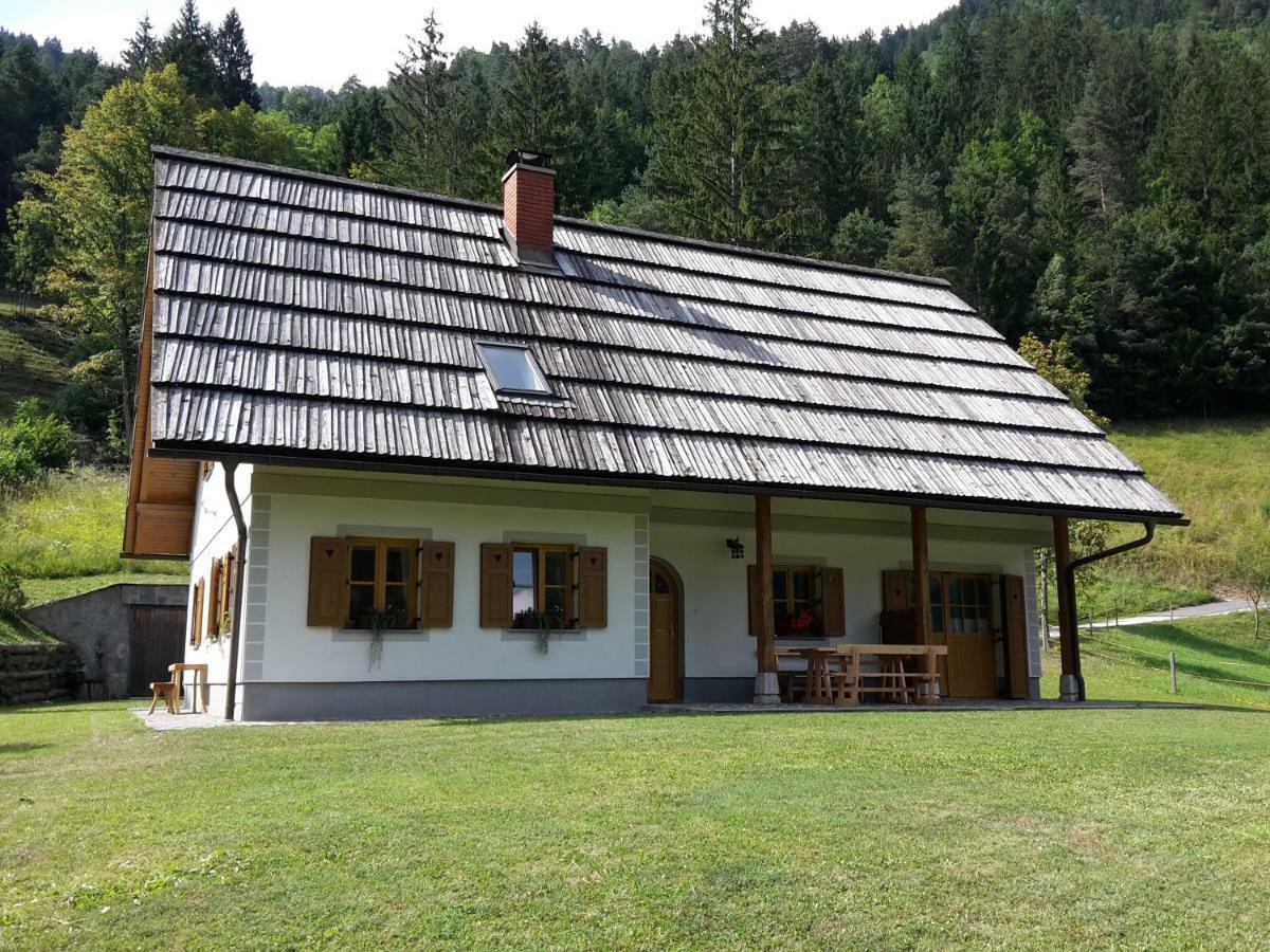 Apartamento Mala Hisa Solčava Exterior foto